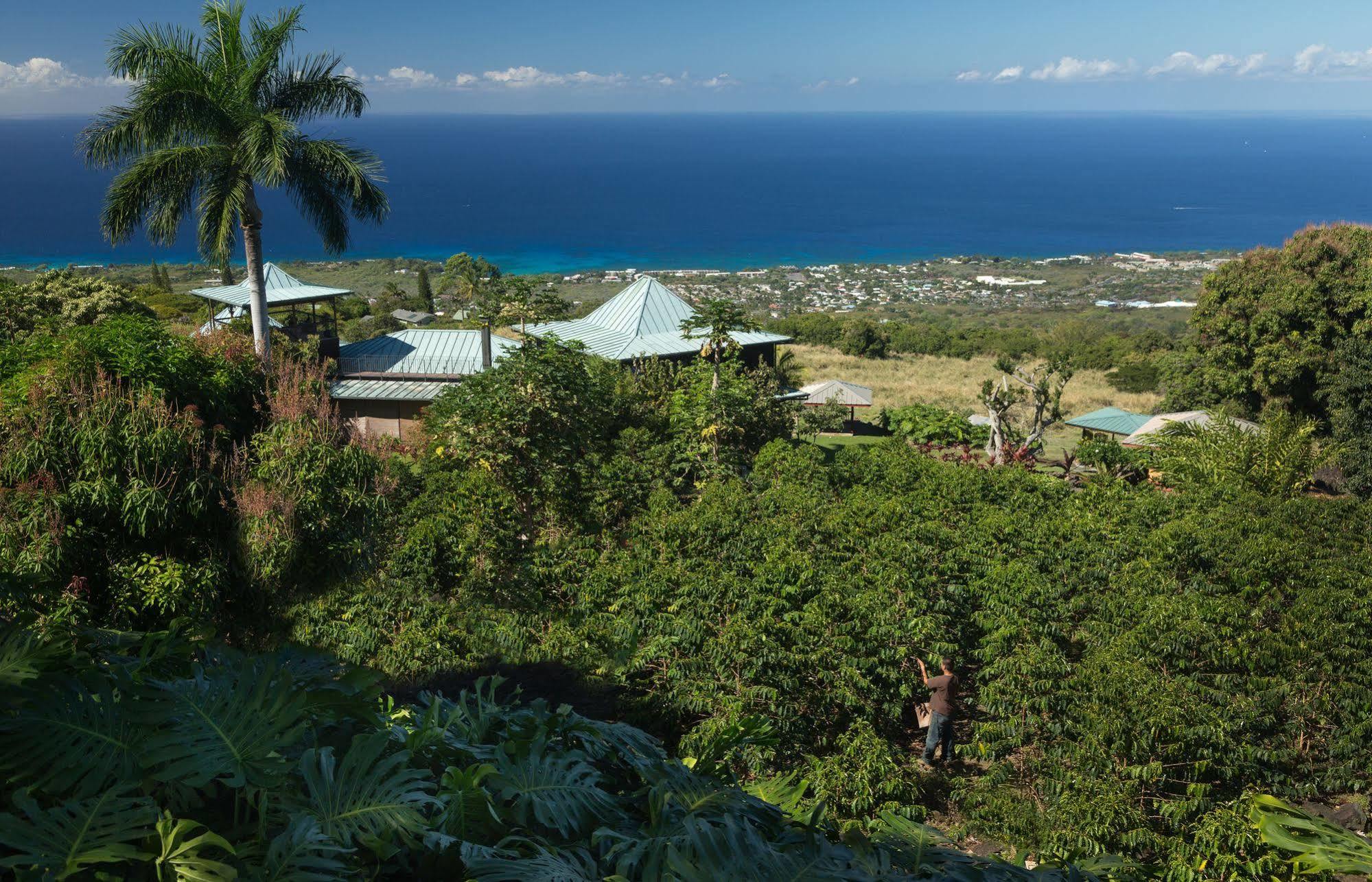 Holualoa Inn Eksteriør billede